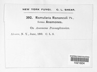 Image Associated With the Occurence
